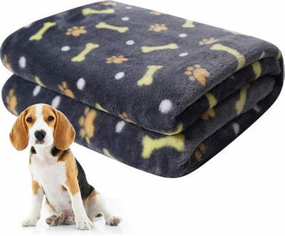 pet Bed & Blanket