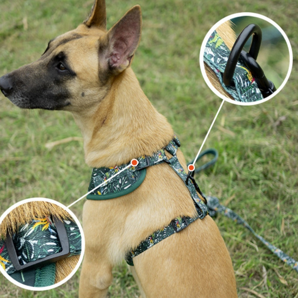 Adjustable Vest Pet Harness Haulage Rope Package