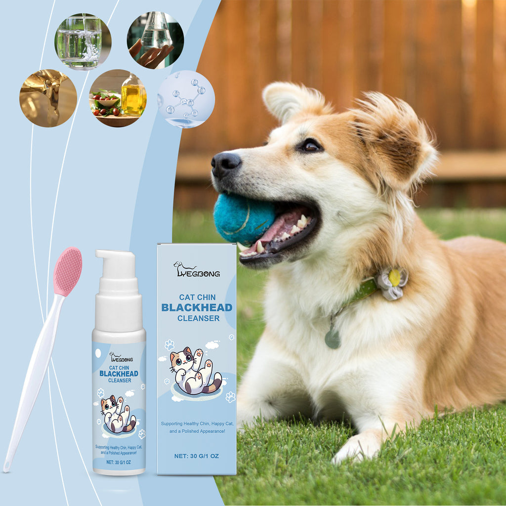 Gentle Cleaning Dogs And Cats Mouth Decontamination Maintenance Cleaning Solution