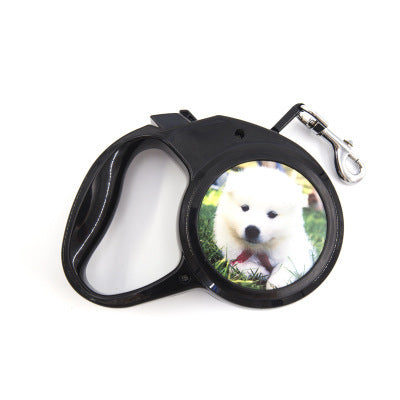 Automatic Retractable Dog Leash Puppy Walking Leader Small Dogs Universal Remote Control