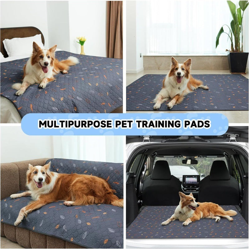 Breathable Absorbent Machine Washable Non-slip Training Dog