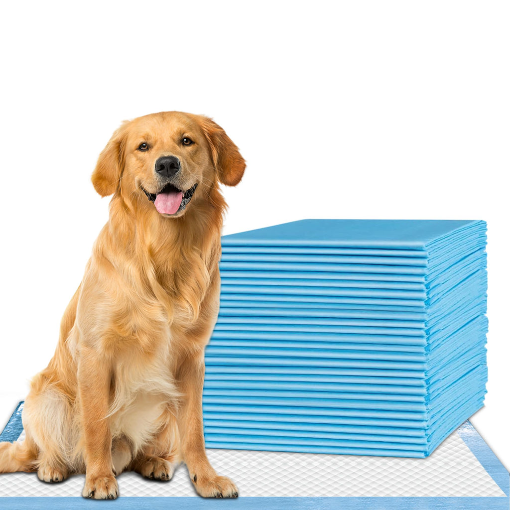 Healqu Puppy Pads - 100-Count, 24x24 - Advanced Leakproof Technology for Housebreaking & Training - Ultra Absorbent Puppy Pee Pads - Ideal for Dogs, Puppies, Cats - Attractant Pet Training Pads