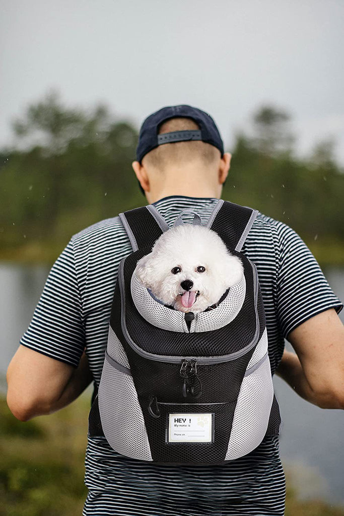 Outing Carrying Bag For Cats And Dogs Outcropping Breathable