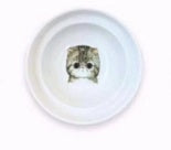 Protect The Spine Bowl Holder Cat Food Water